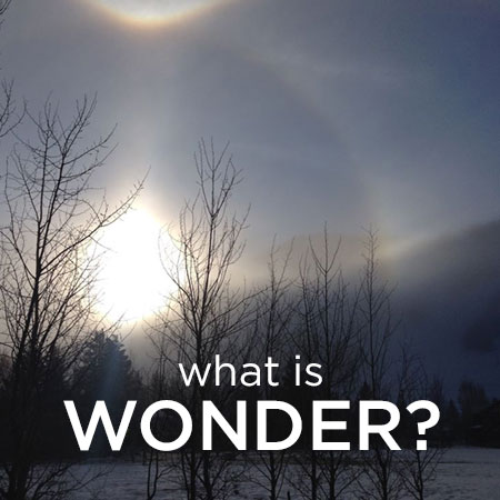 WhatisWonder